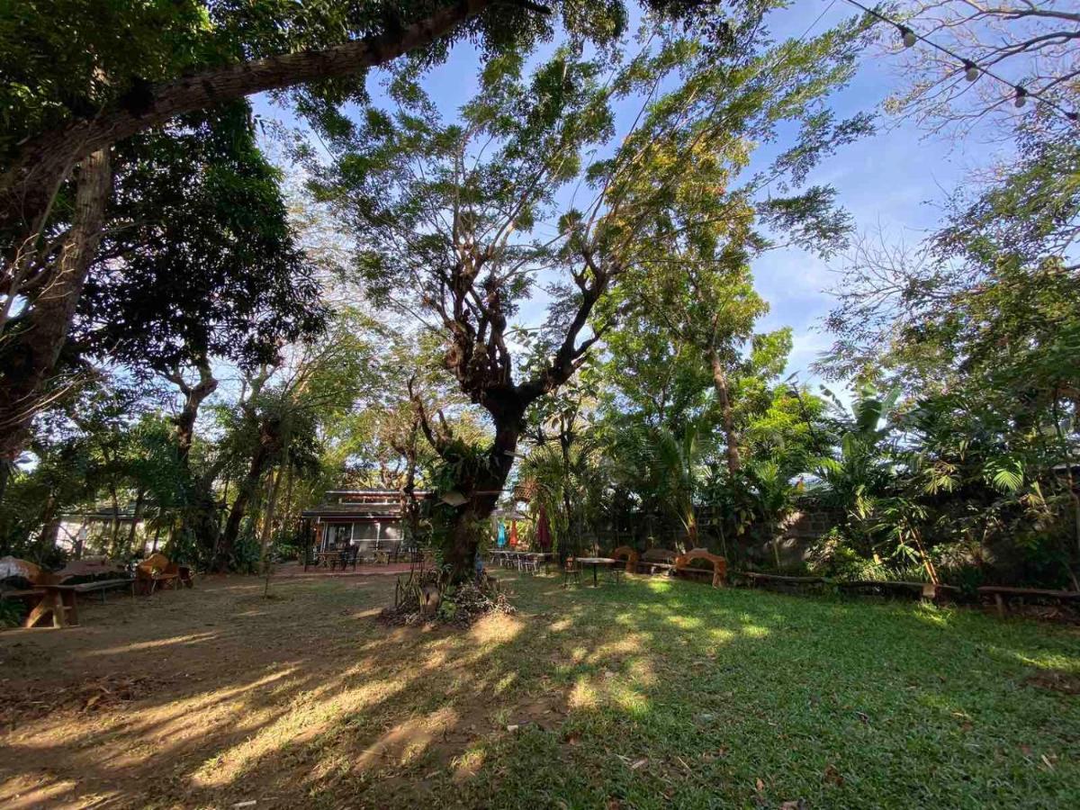 Rio Vista Bed And Breakfast Dagupan City Экстерьер фото